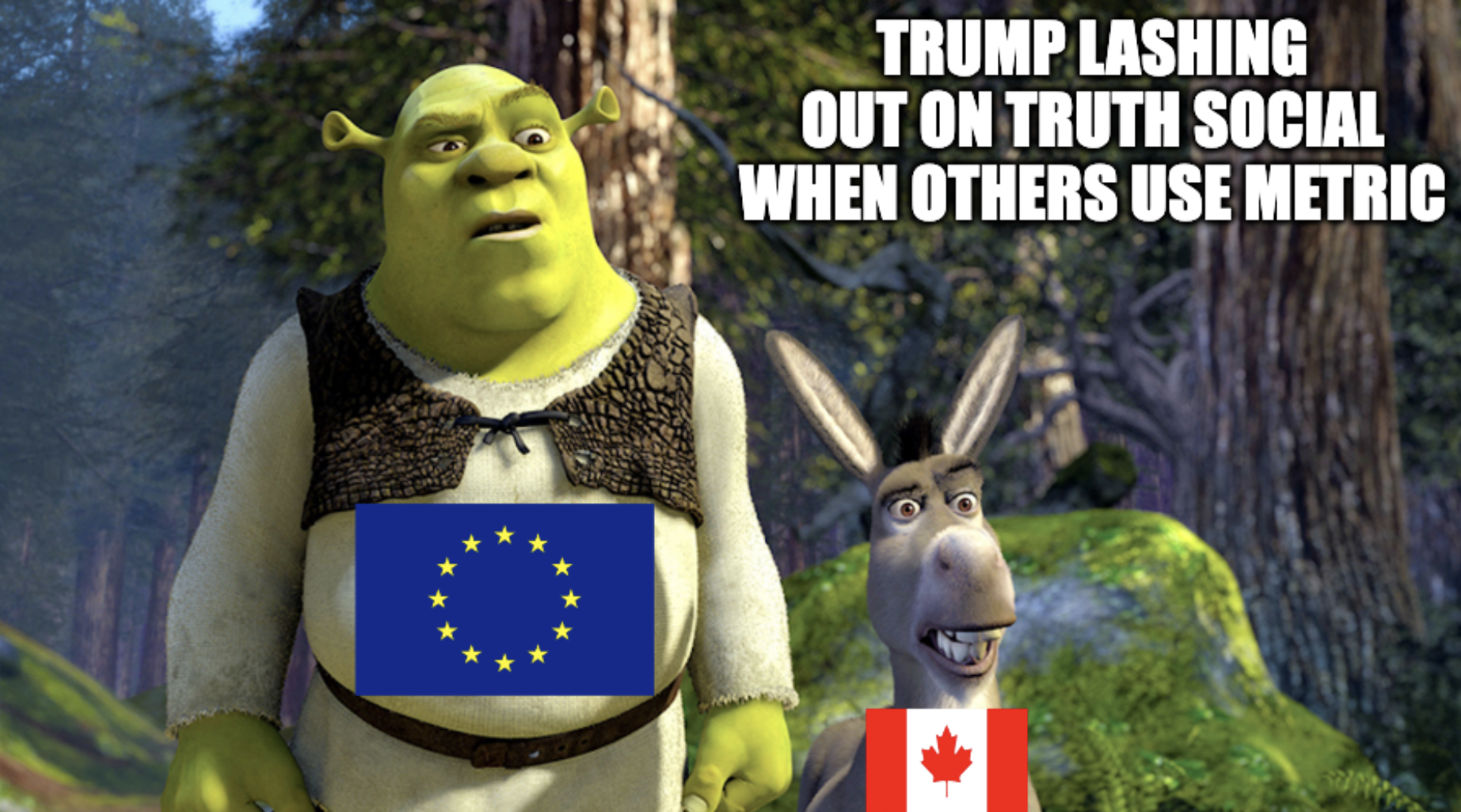 Shrek as EU and Donkey as Canada. Trump lashing out on truth social when others use metric. 