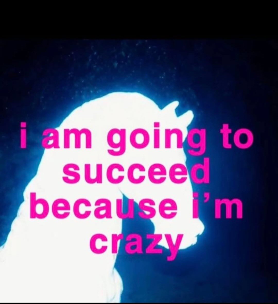 I am going to succeed because I'm crazy 