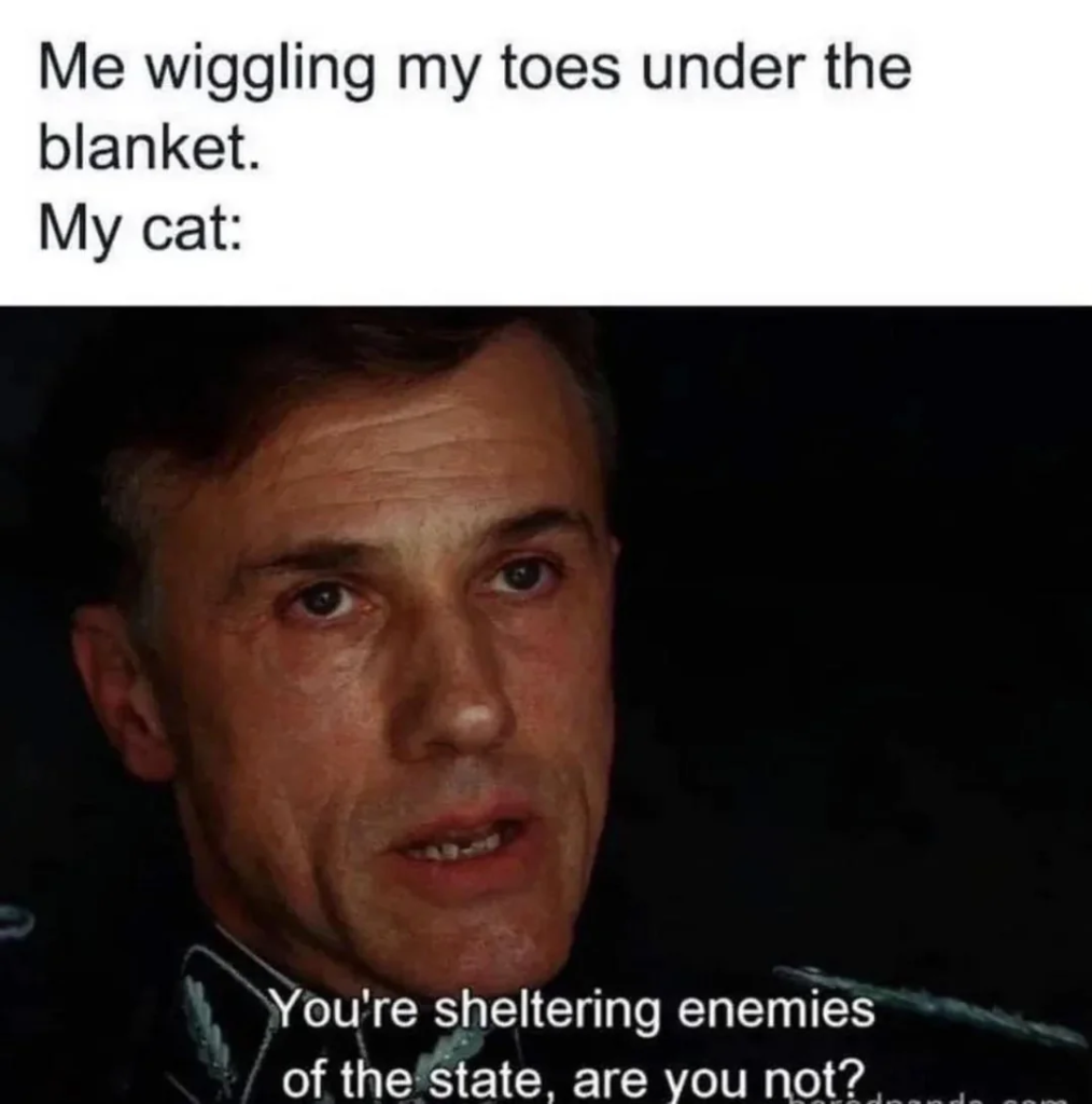Me: *wiggling toes* Cat: You’re sheltering enemies of the state, are you not?